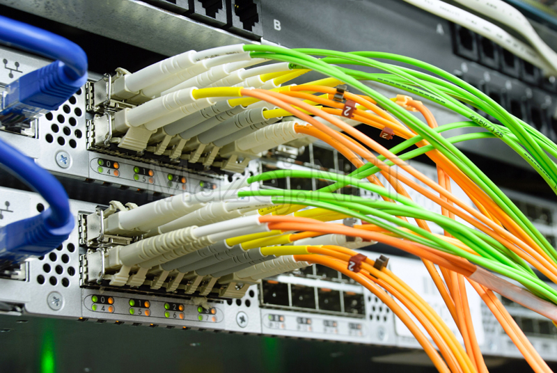 Picture of optical cables pluged in network server